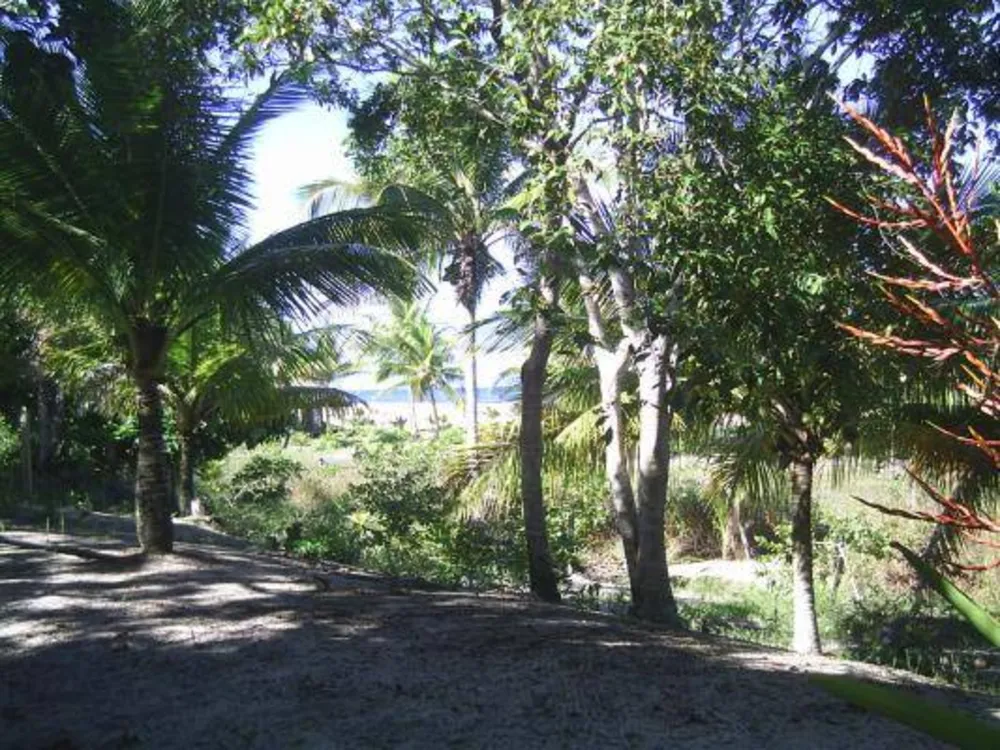 Terreno, 6505 m² - Foto 5