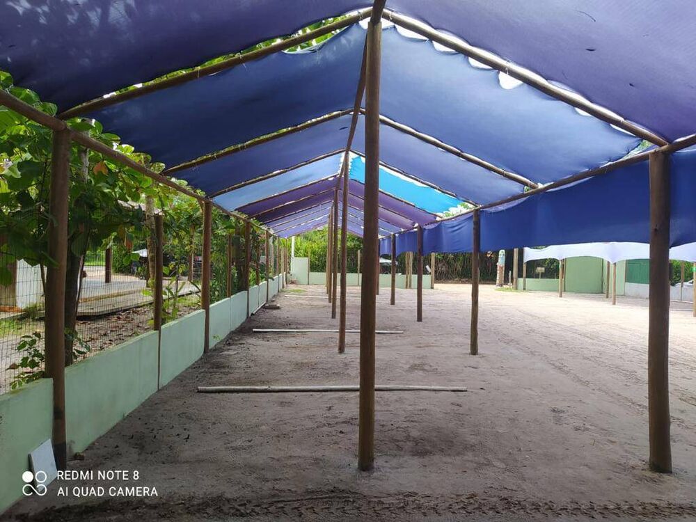 Conjunto Comercial-Sala à venda, 700m² - Foto 3
