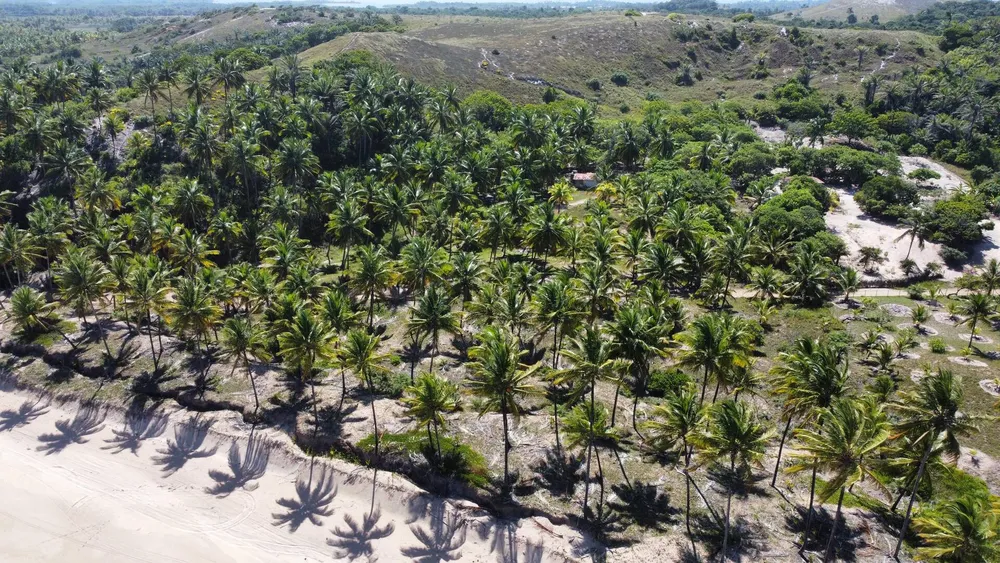 Terreno, 4800 m² - Foto 4