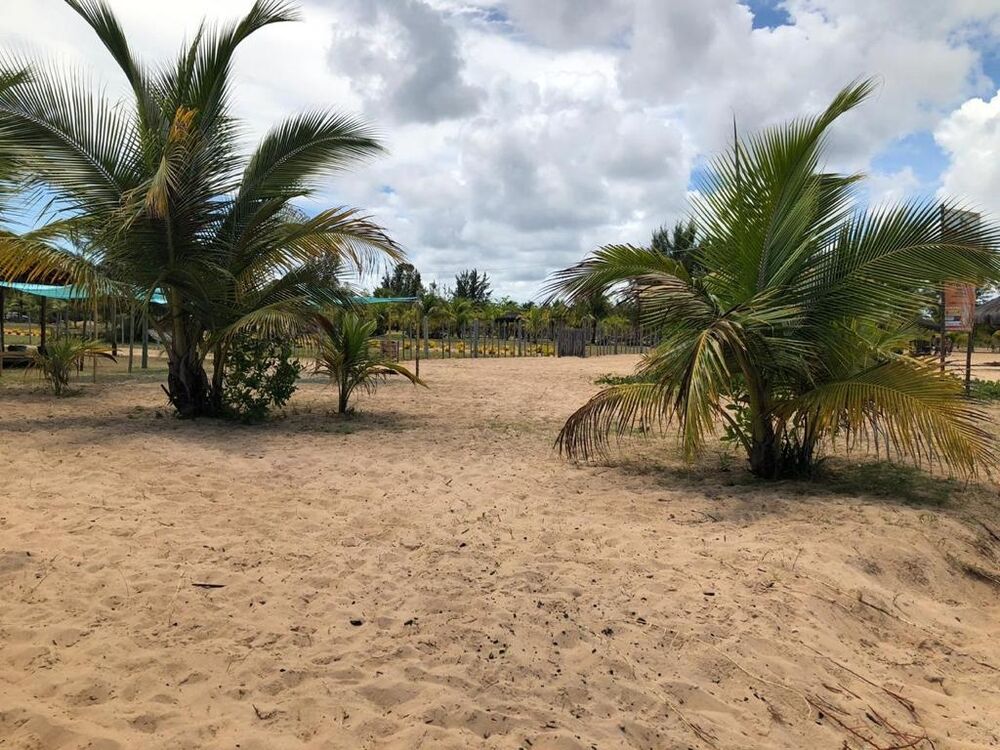 Casa à venda - Foto 4