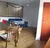 Prédio Inteiro, 180 m² - Foto 3