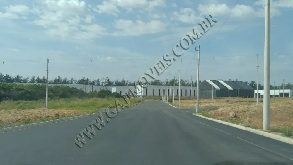 Terreno, 2 hectares - Foto 6
