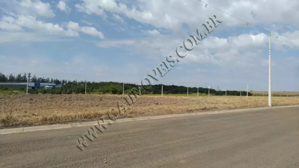 Terreno, 2 hectares - Foto 7