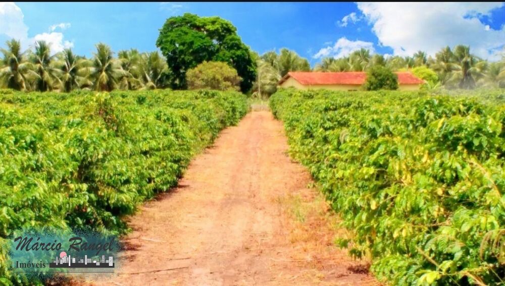 Fazenda à venda com 3 quartos, 585m² - Foto 10