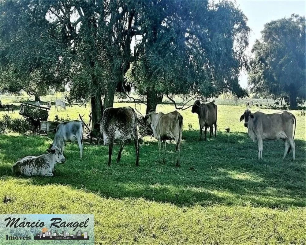 Fazenda, 155 m² - Foto 3