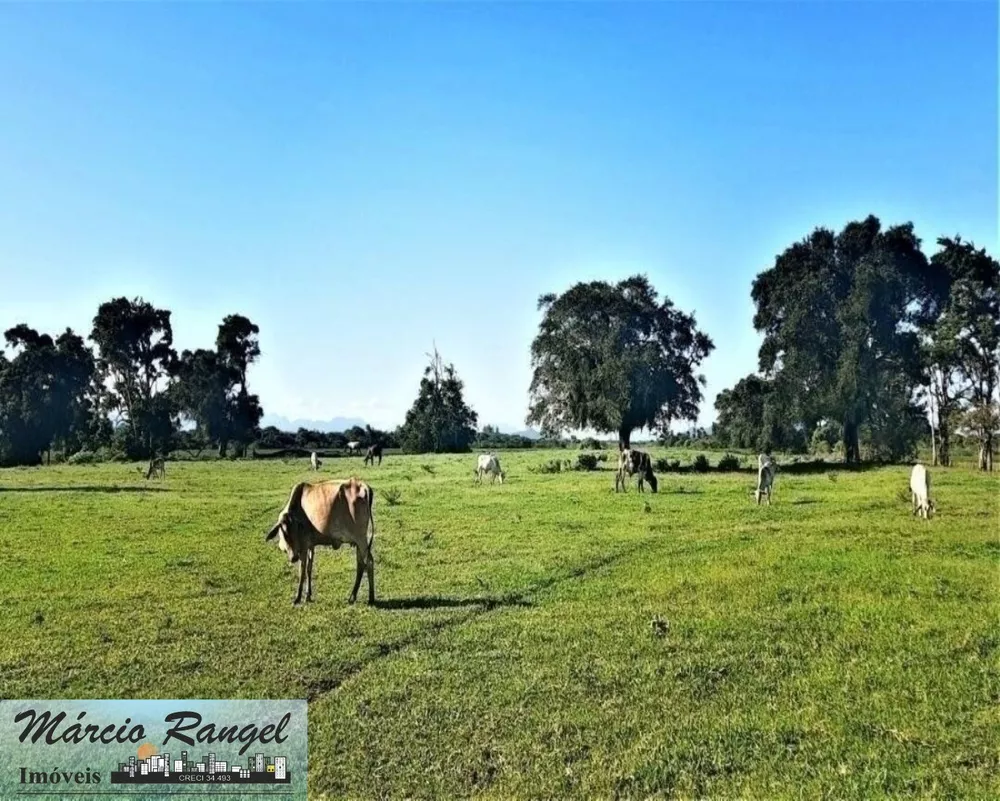 Fazenda, 155 m² - Foto 6