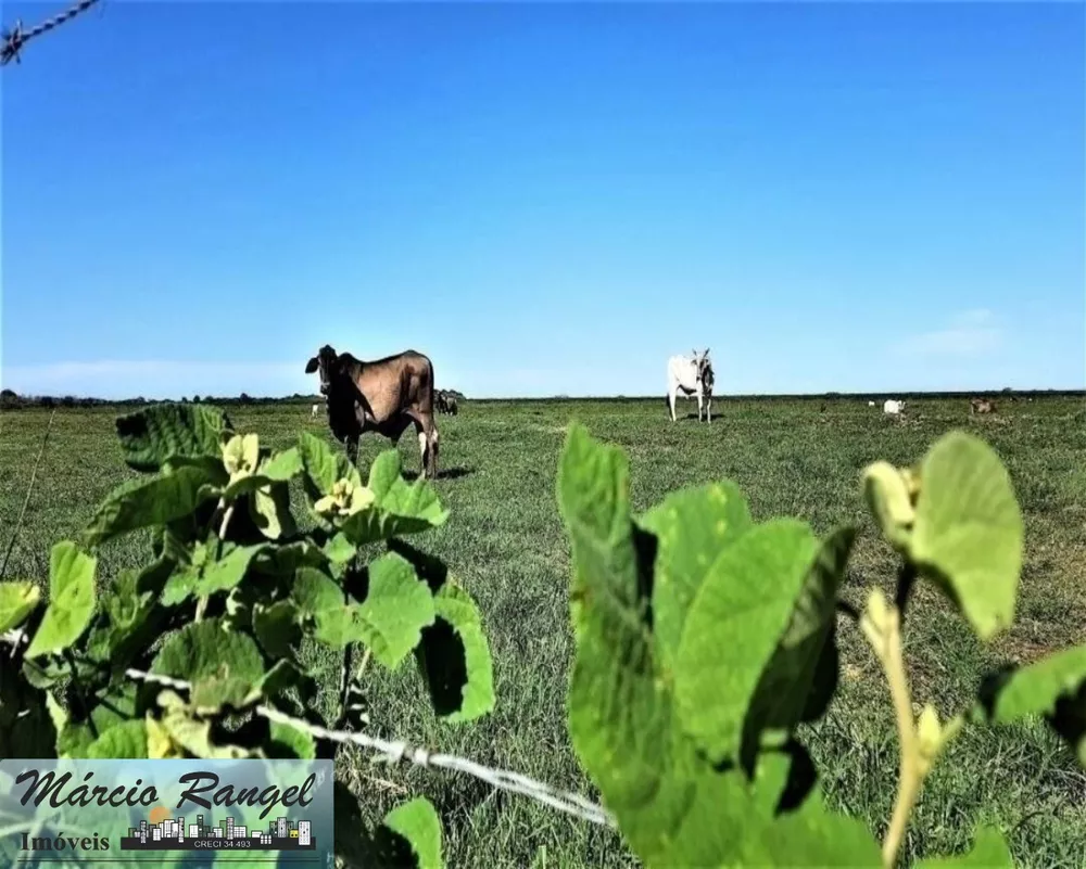 Fazenda, 155 m² - Foto 2