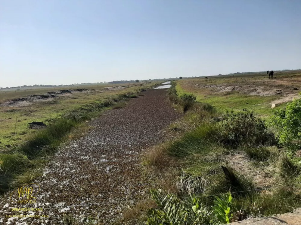 Fazenda, 48 m² - Foto 23