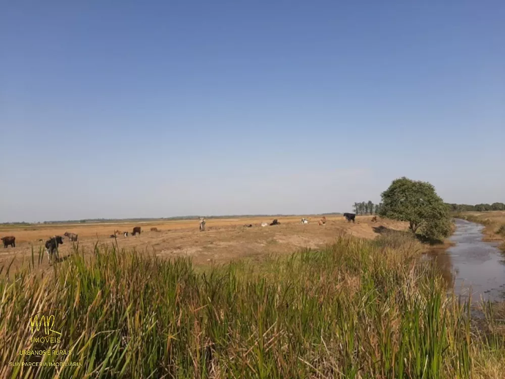 Fazenda, 48 m² - Foto 15