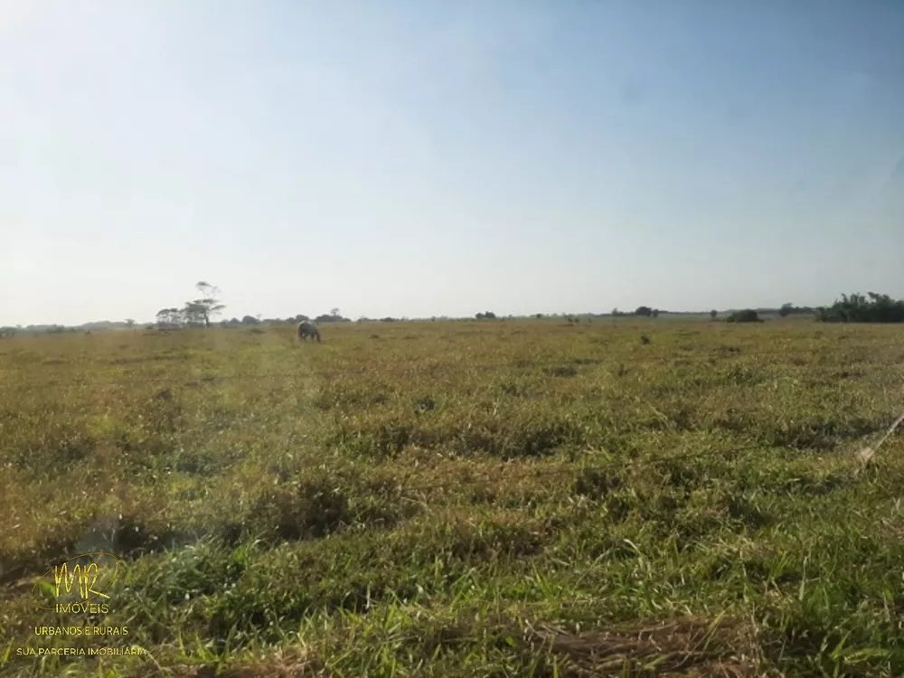 Fazenda, 48 m² - Foto 9