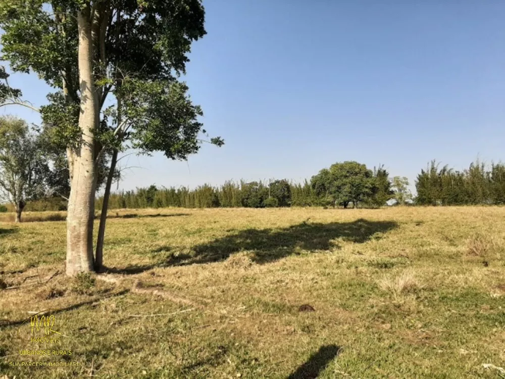 Fazenda, 48 m² - Foto 4