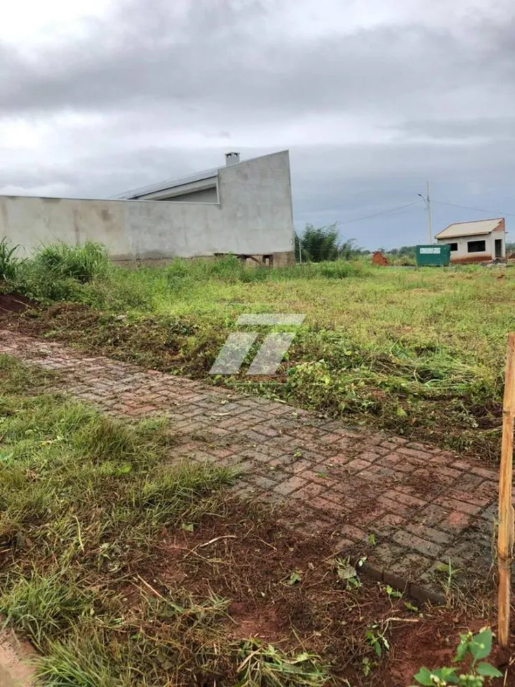 Casa - Foto 3