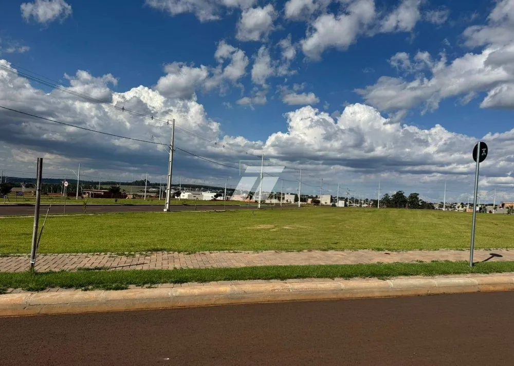 Depósito-Galpão - Foto 3