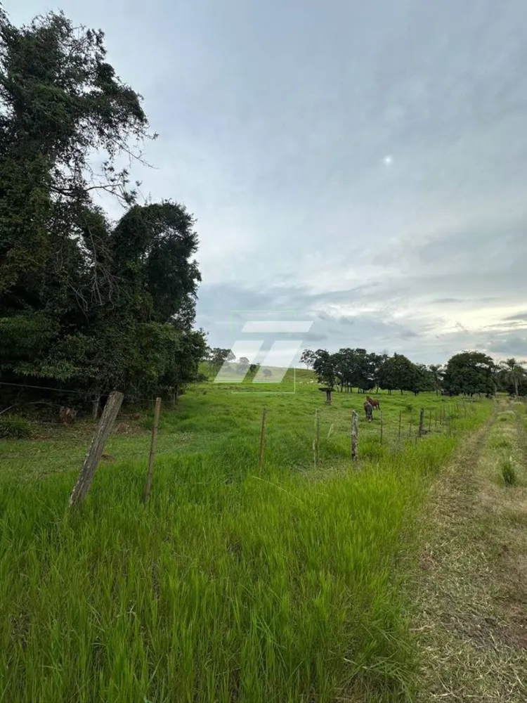 Sítio, 44 hectares - Foto 12