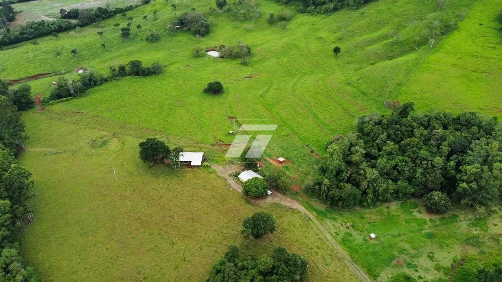 Sítio, 44 hectares - Foto 1