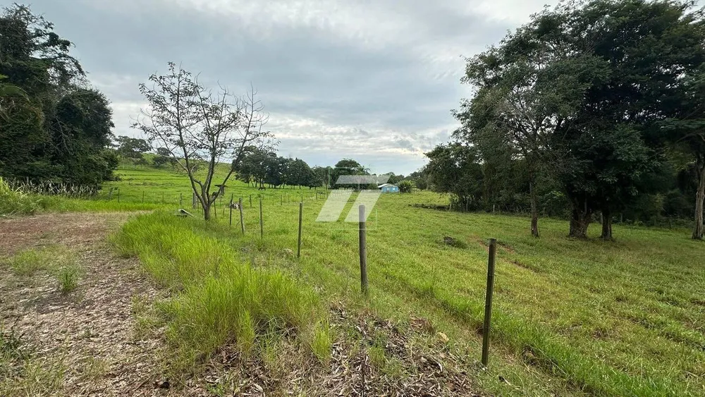 Sítio, 44 hectares - Foto 4