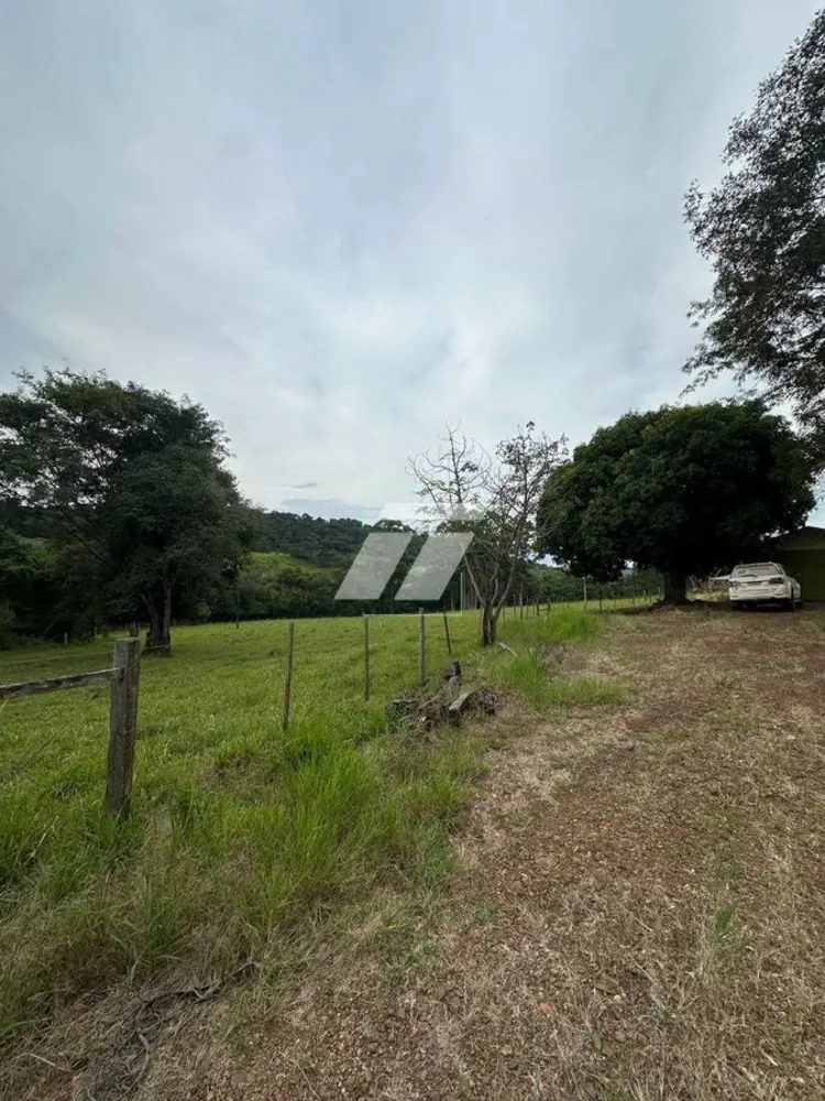 Sítio, 44 hectares - Foto 11