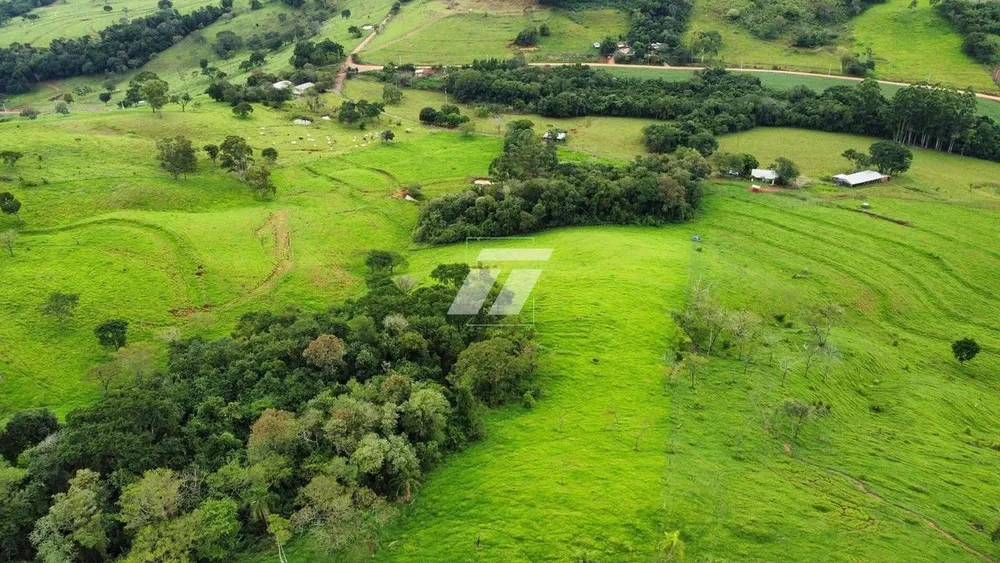 Sítio, 44 hectares - Foto 9
