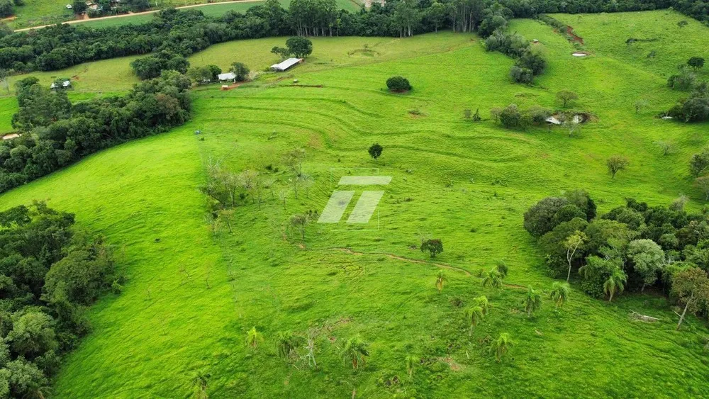 Sítio, 44 hectares - Foto 8