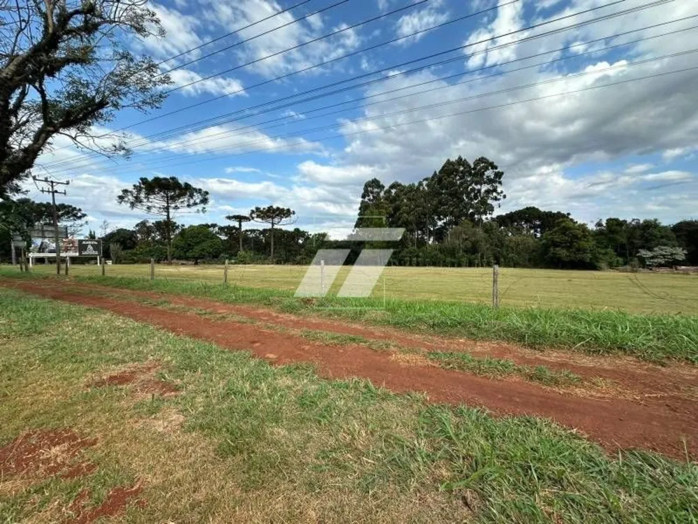 Depósito-Galpão - Foto 4