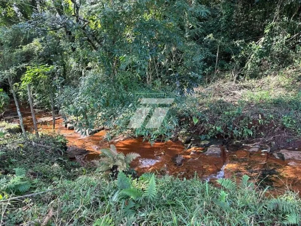 Sítio - Foto 4