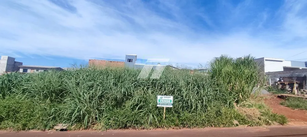 Casa - Foto 4