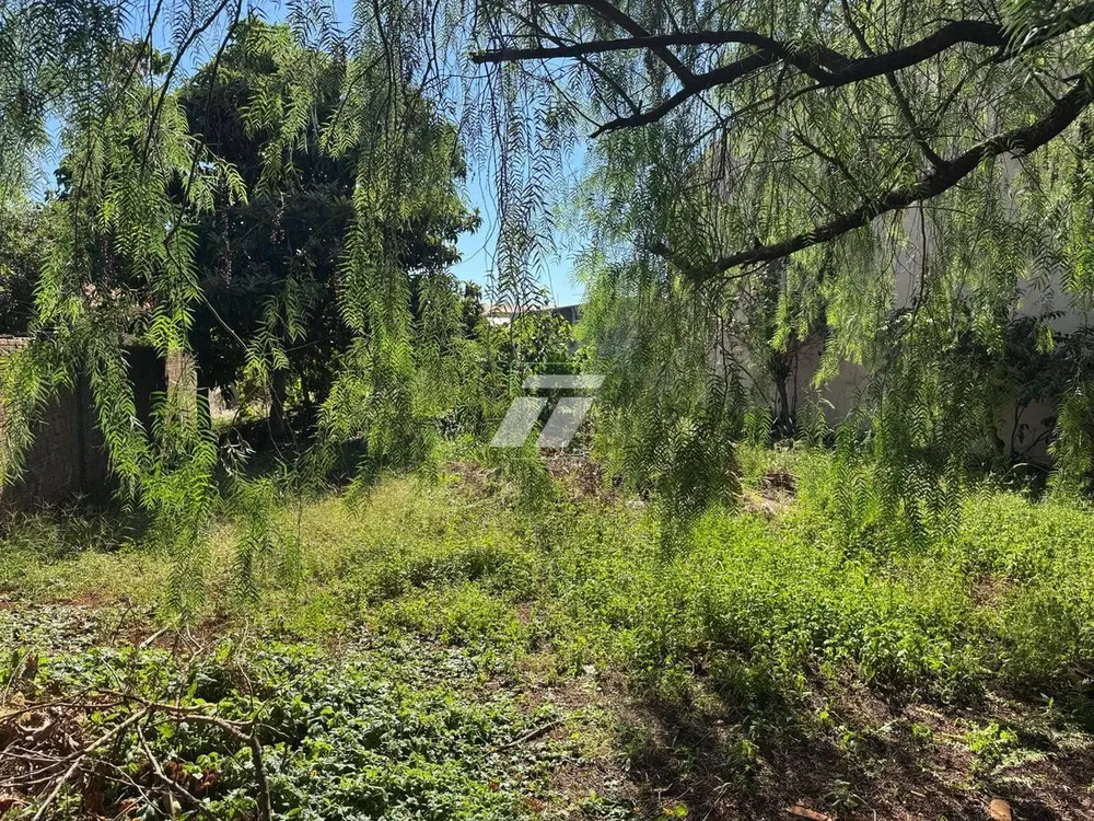 Casa - Foto 4