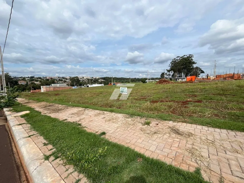 Terreno - Foto 4