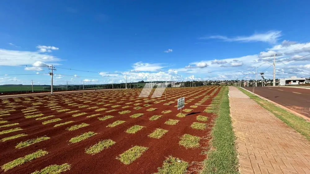 Terreno - Foto 2