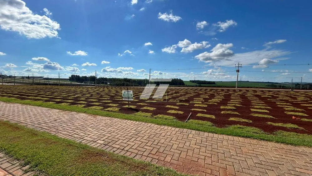 Terreno - Foto 3