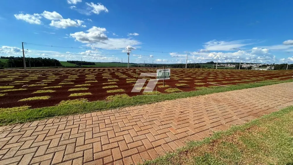 Terreno - Foto 4
