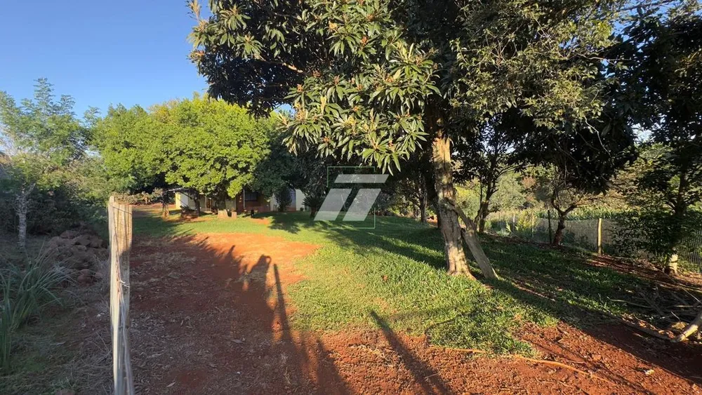 Depósito-Galpão - Foto 4