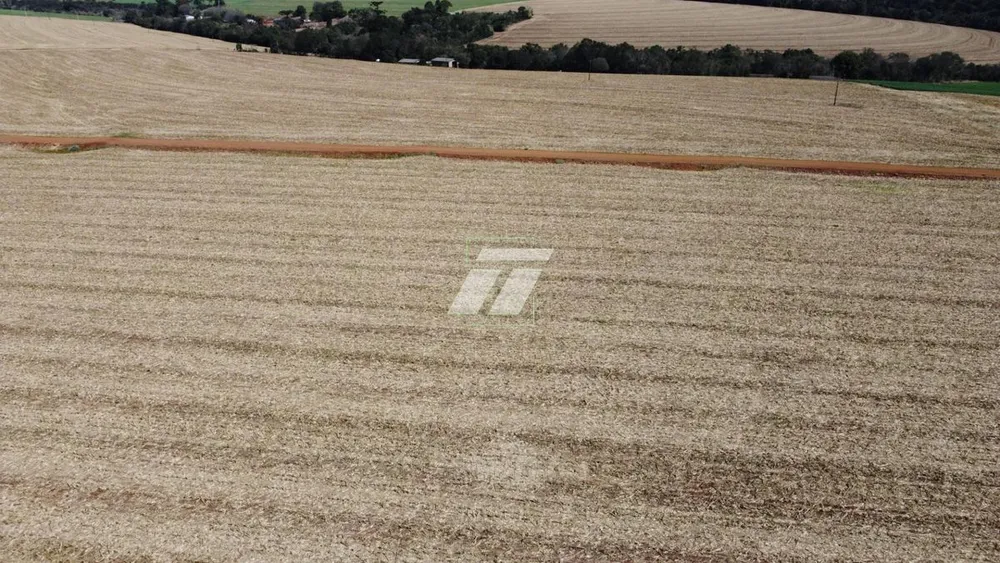 Fazenda - Foto 3