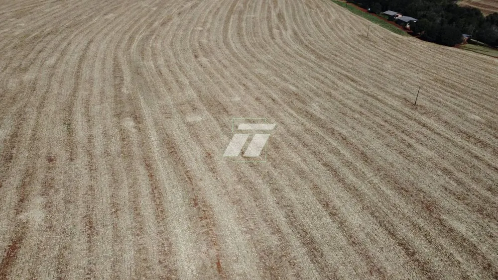 Fazenda - Foto 2