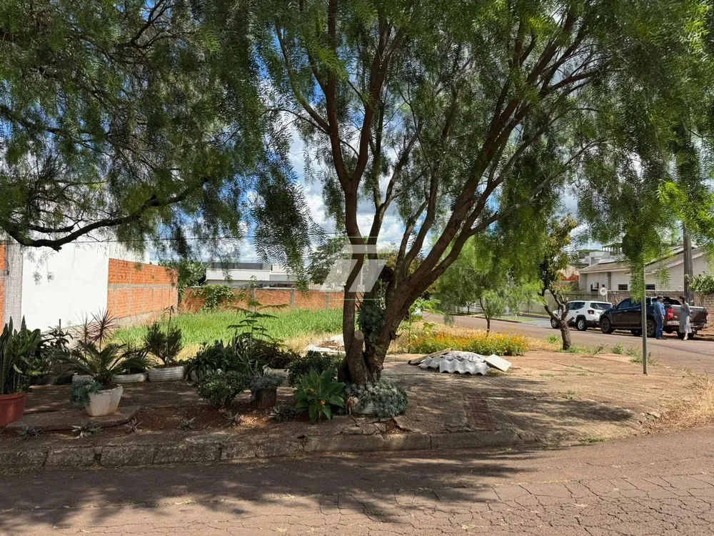 Casa - Foto 4