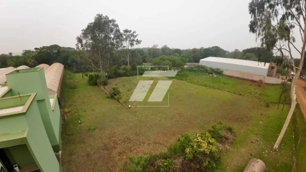 Terreno, 3 hectares - Foto 6
