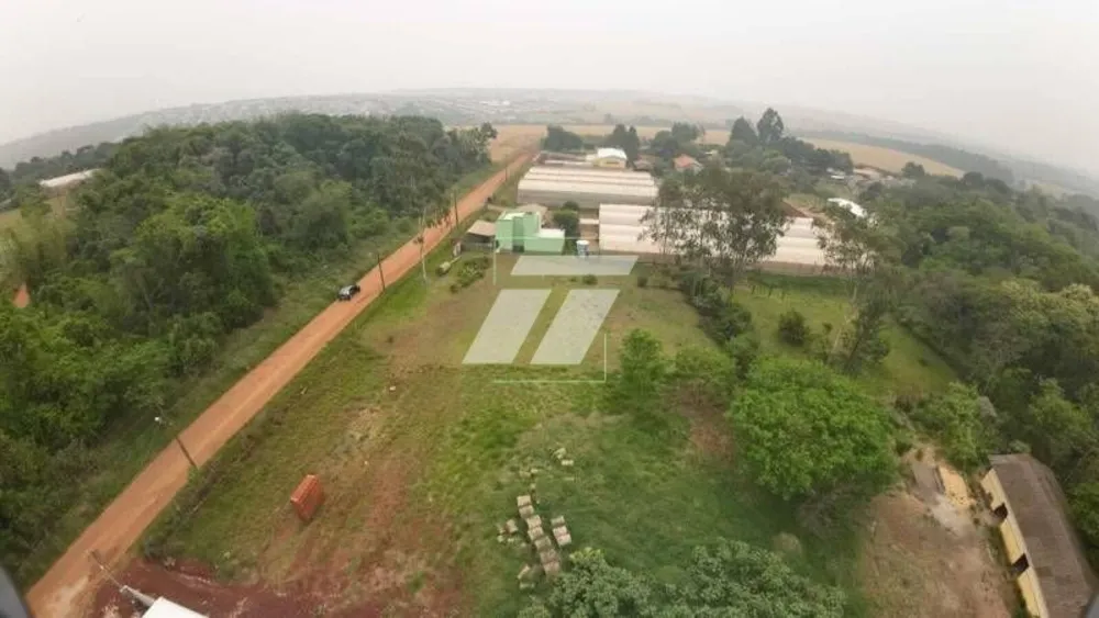 Terreno, 3 hectares - Foto 4