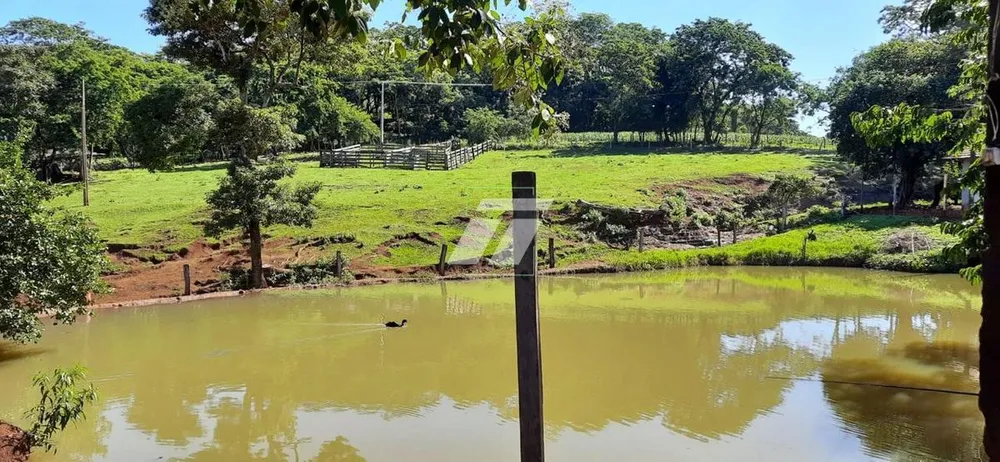 Sítio, 25 hectares - Foto 4