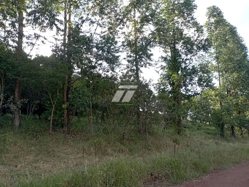 Sítio - Foto 7