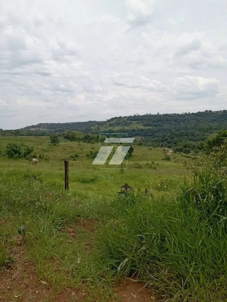 Sítio - Foto 6