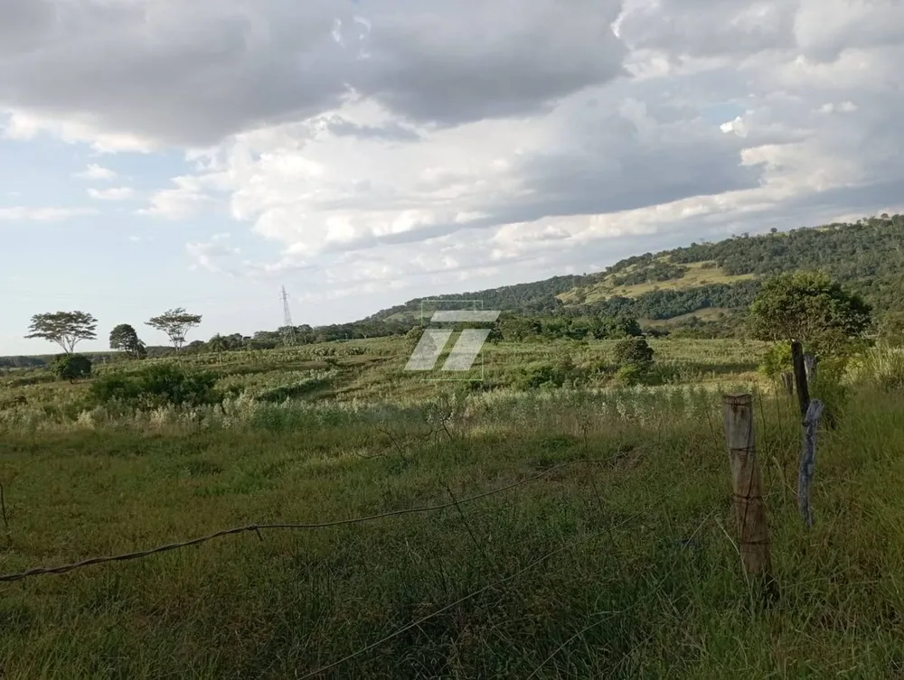 Sítio - Foto 3