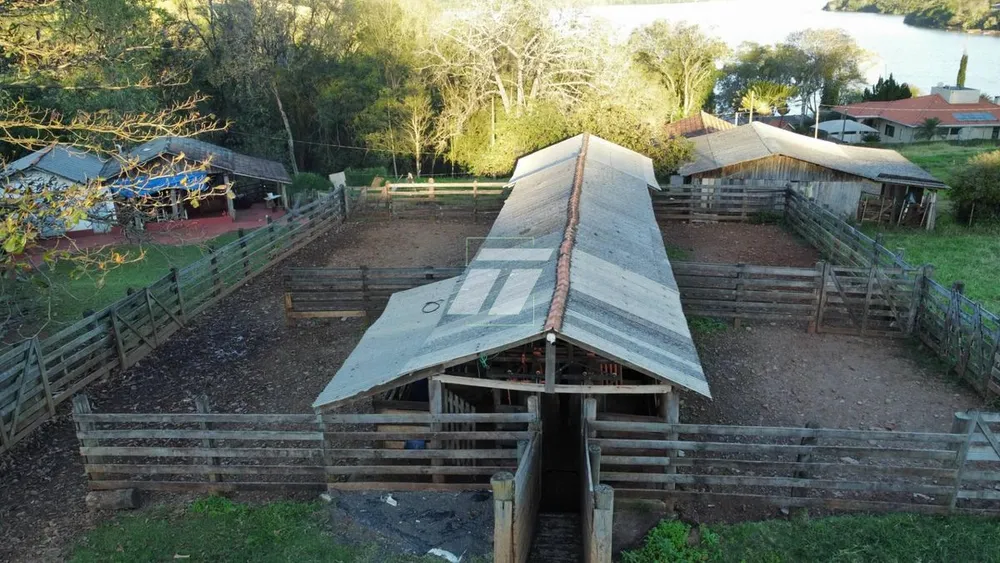 Fazenda - Foto 5