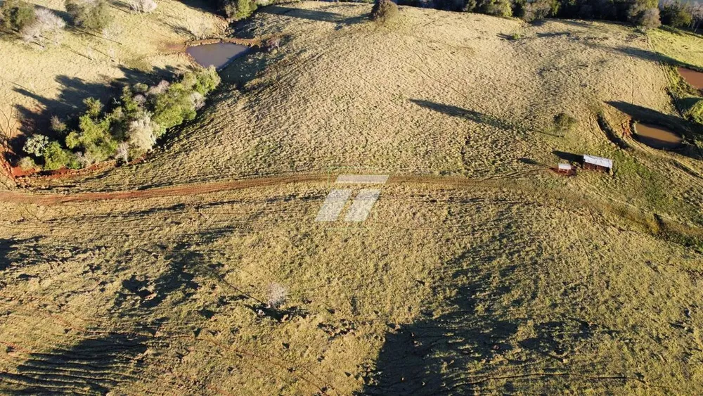 Fazenda - Foto 11