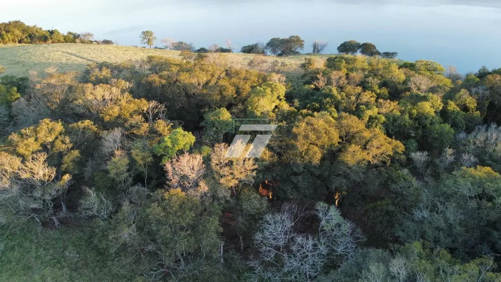 Fazenda - Foto 3