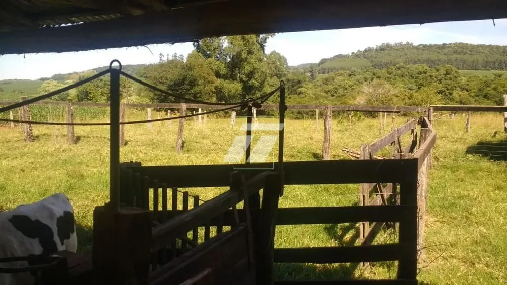 Sítio - Foto 3