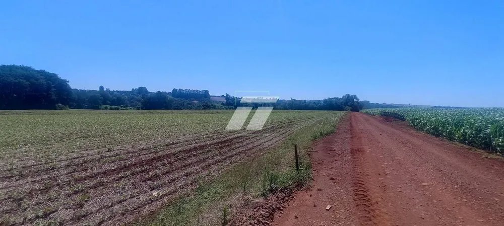 Depósito-Galpão - Foto 1