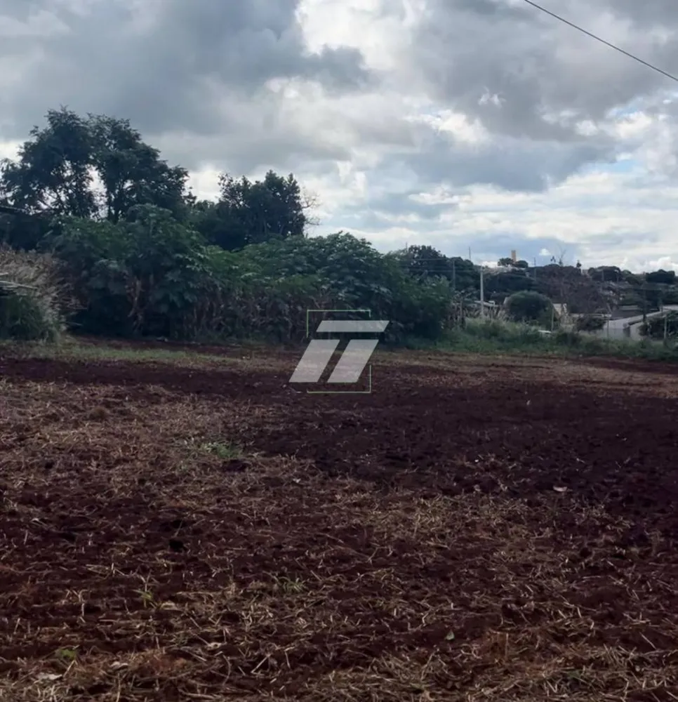 Depósito-Galpão - Foto 2