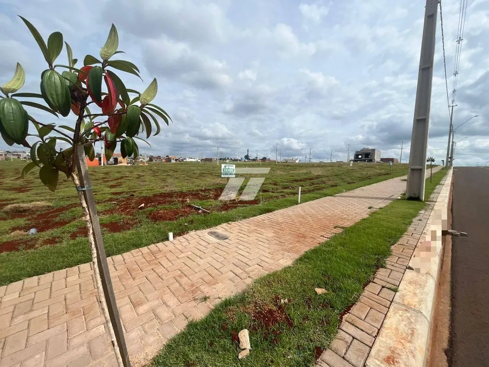 Terreno - Foto 2