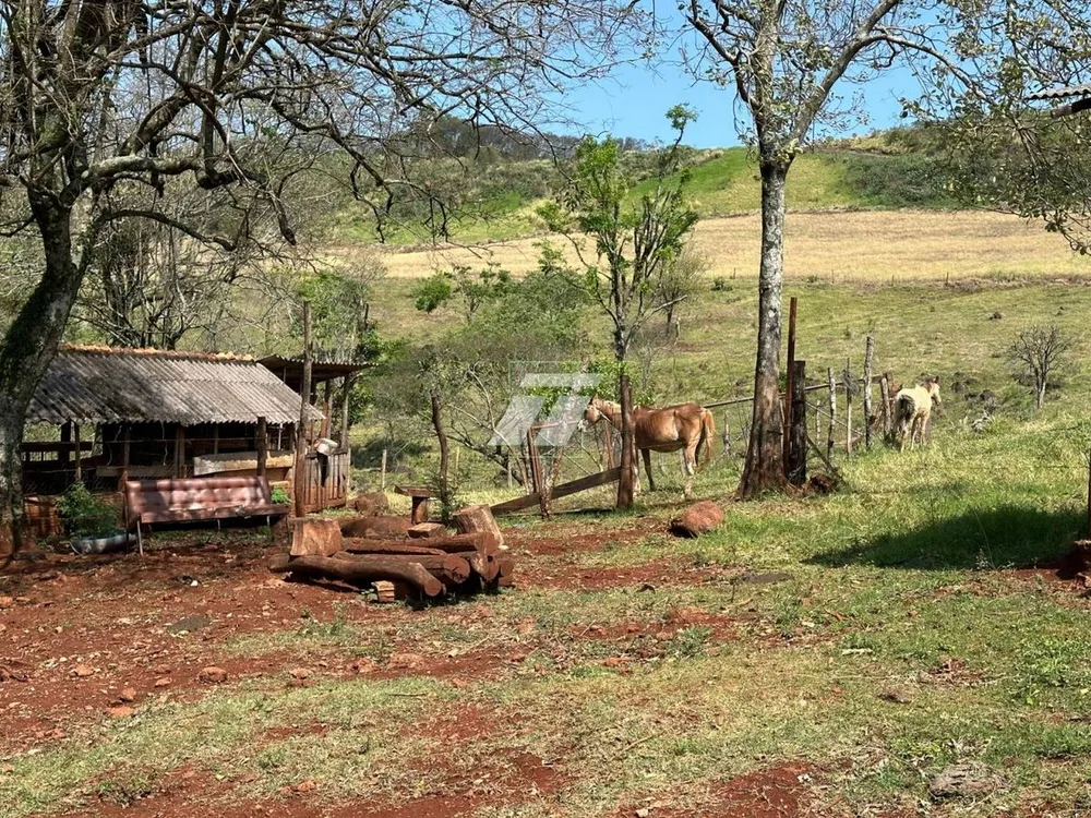 Sítio - Foto 7