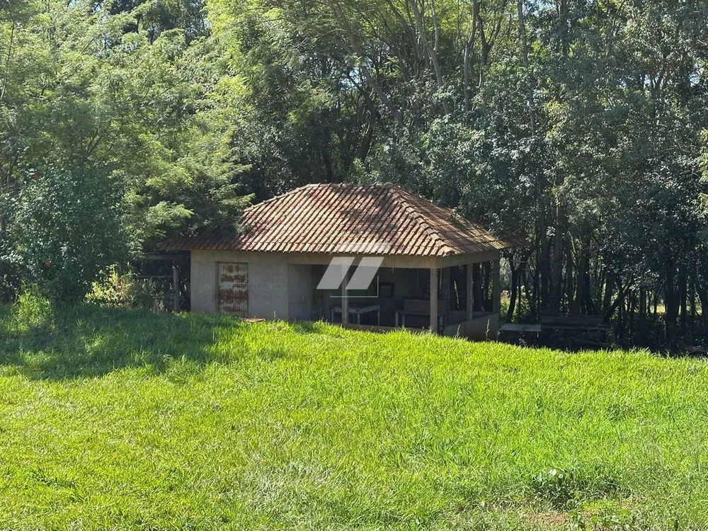 Sítio - Foto 7
